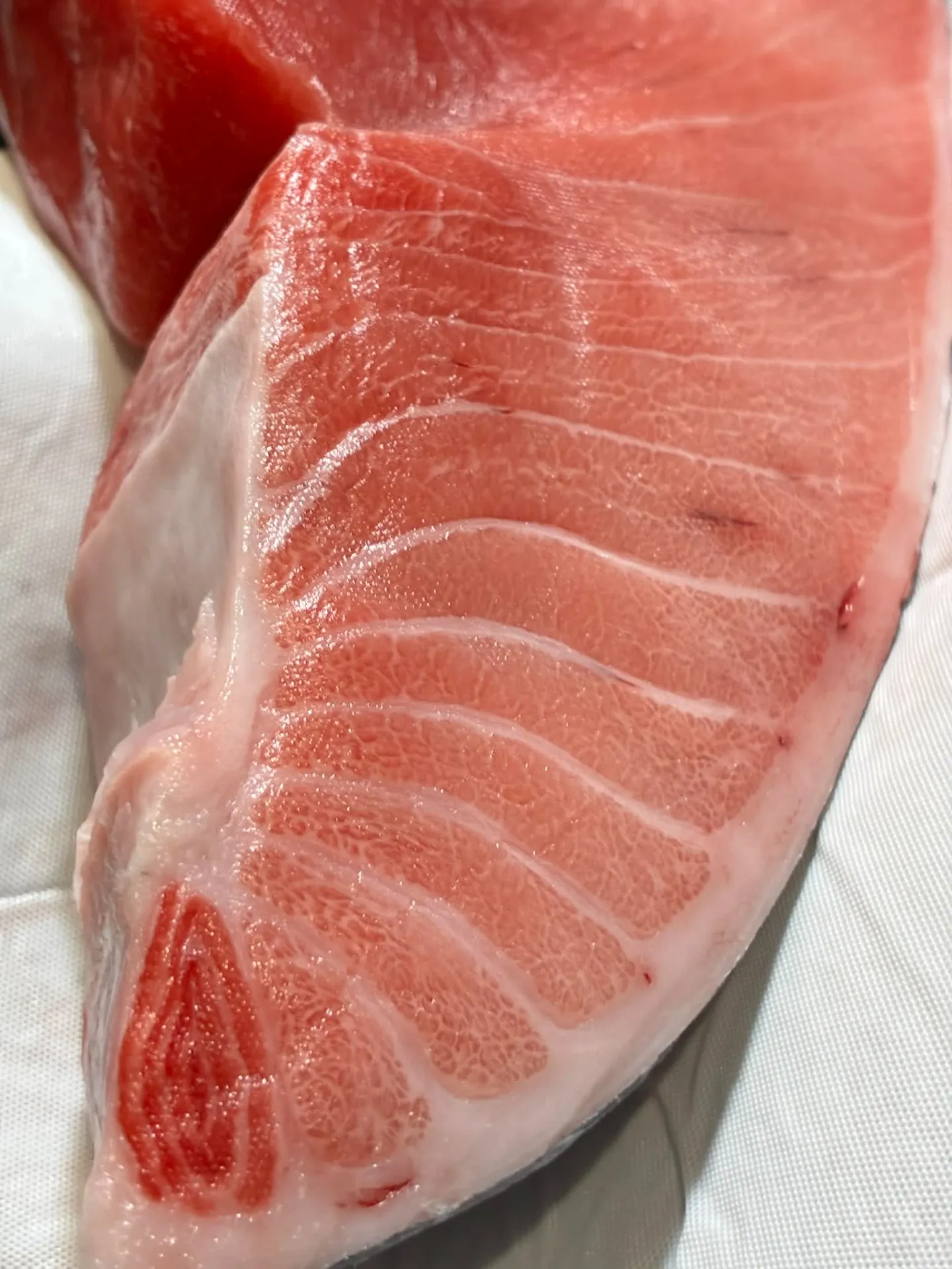 本マグロBluefin Tuna — Savoring the