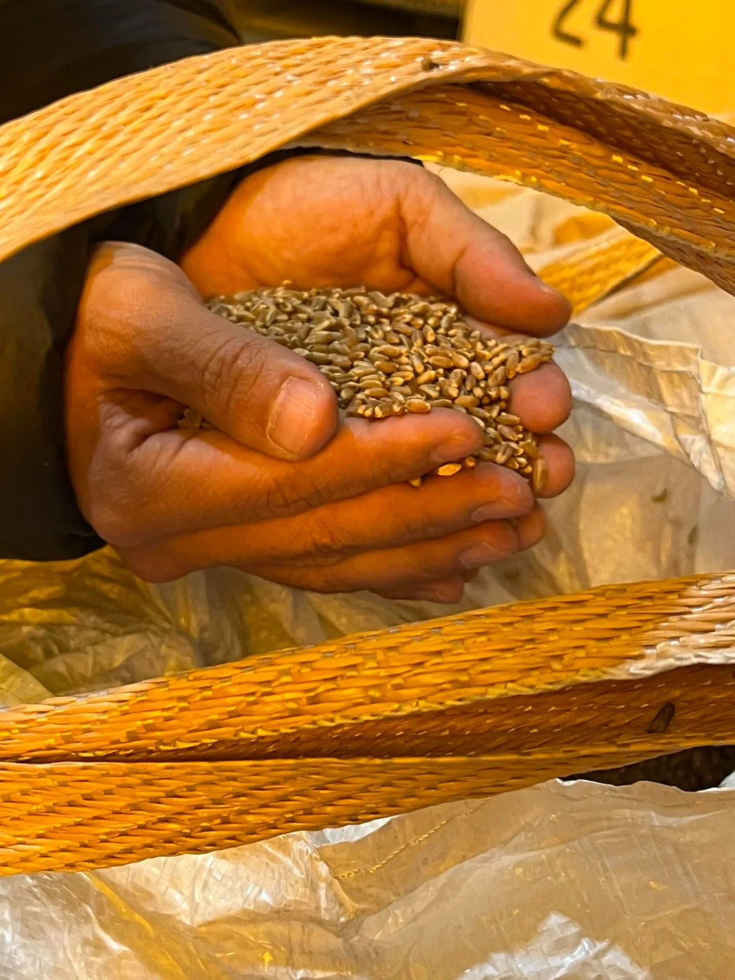 地球の未来のための取組 北海道 アグリシステム(株)