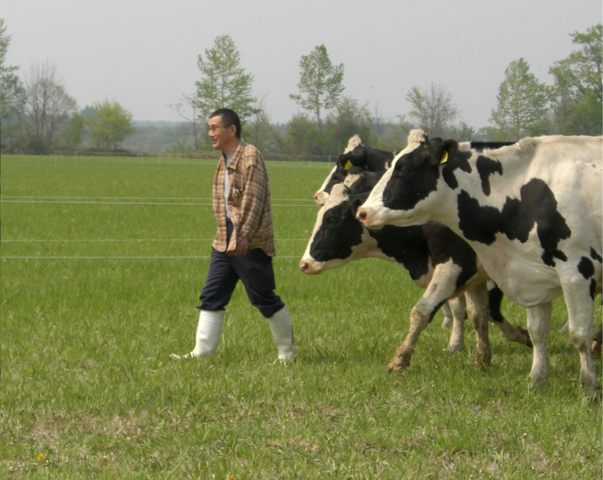 The World’s Only Certified Raw Milk From Hokkaid