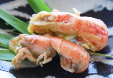 夏限定　アナジャコ