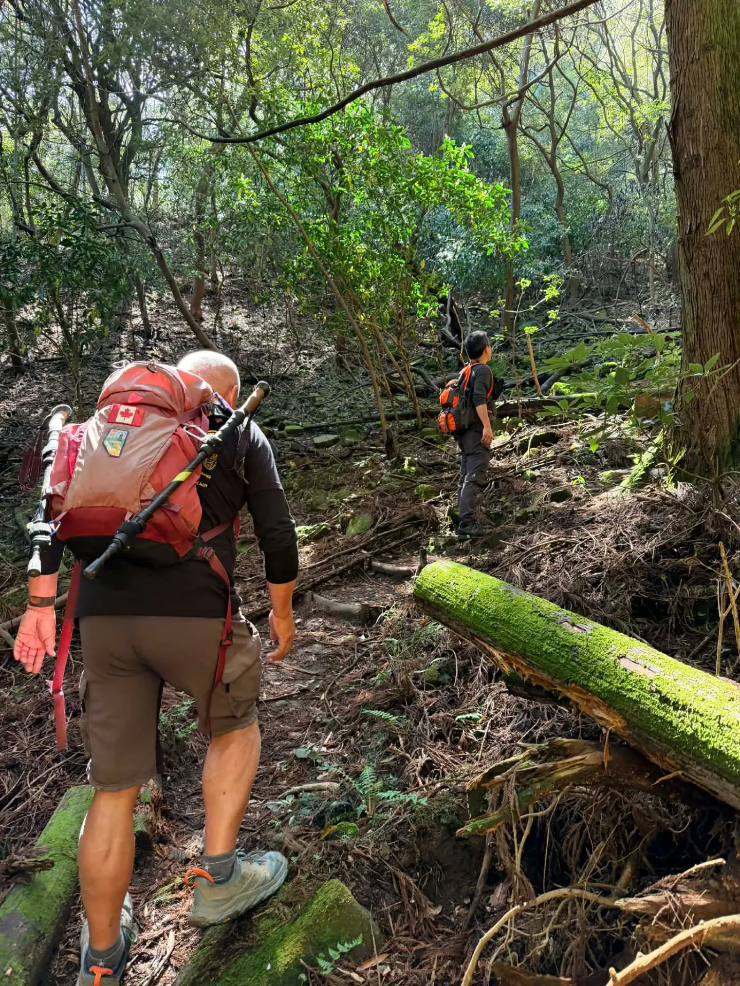 【九州オルレ】自然と文化を歩く旅 Kyushu Olle