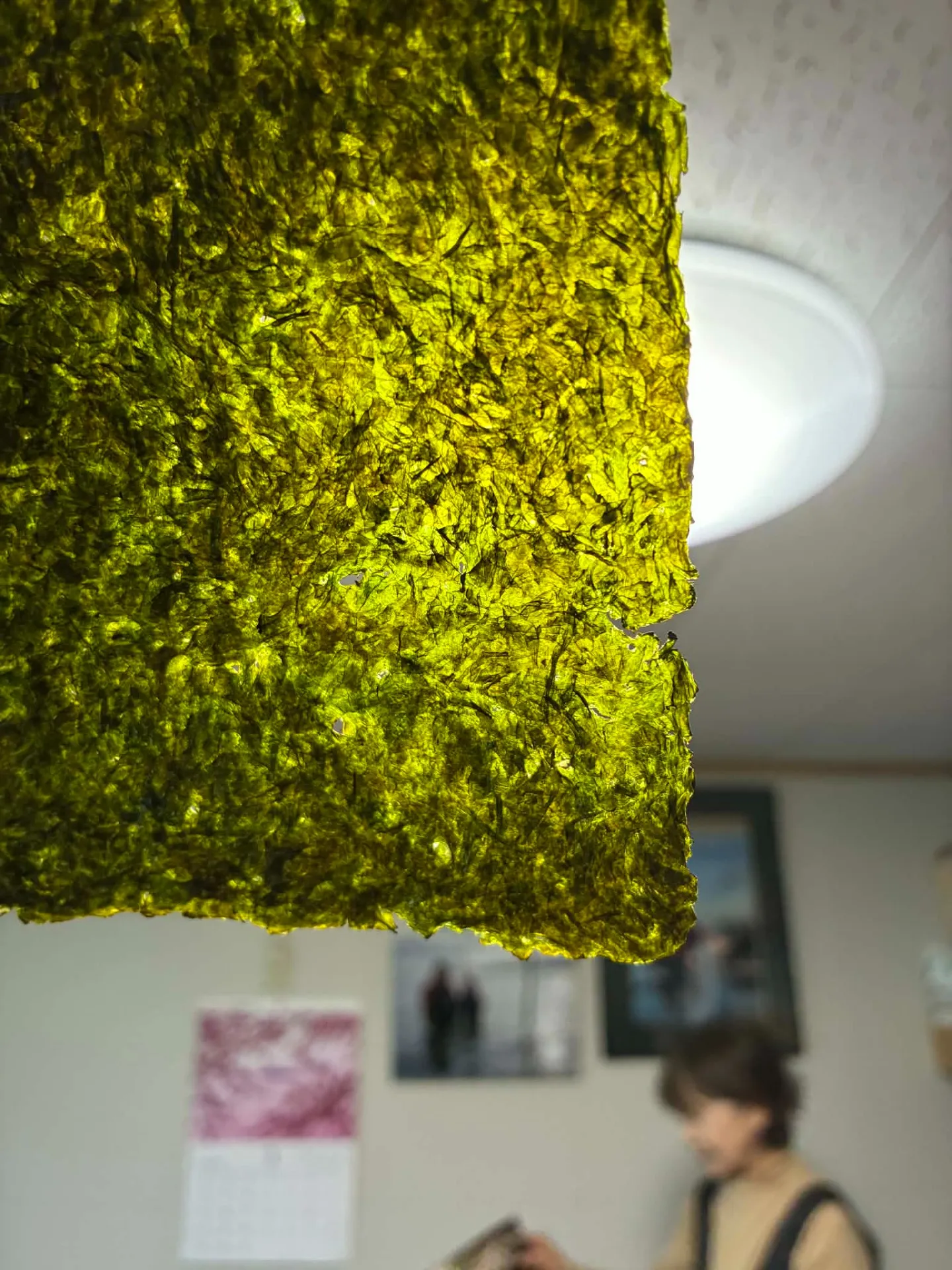 幻の海苔　無酸処理のアサクサノリ（浅草海苔）