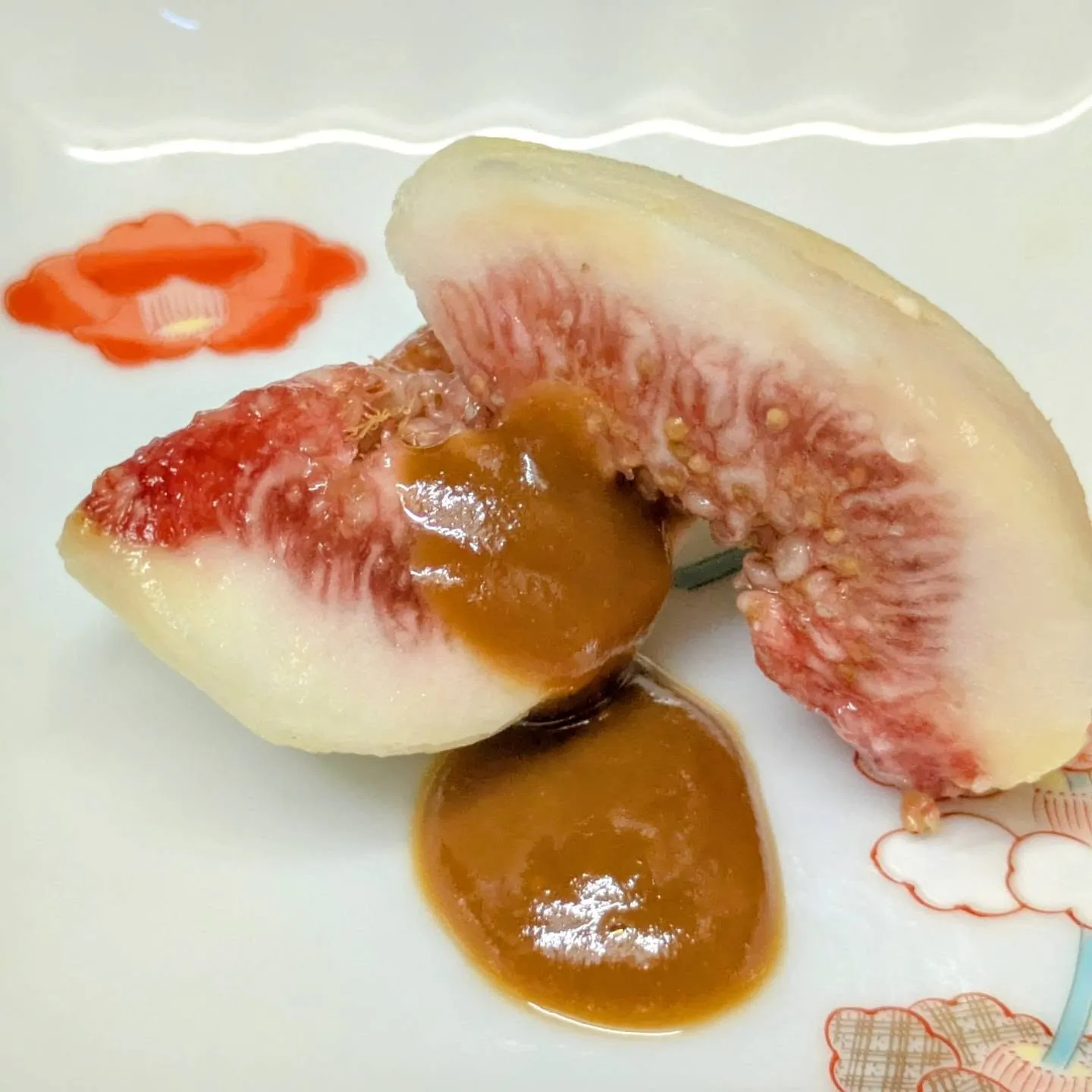 ✨イチジク/Fig