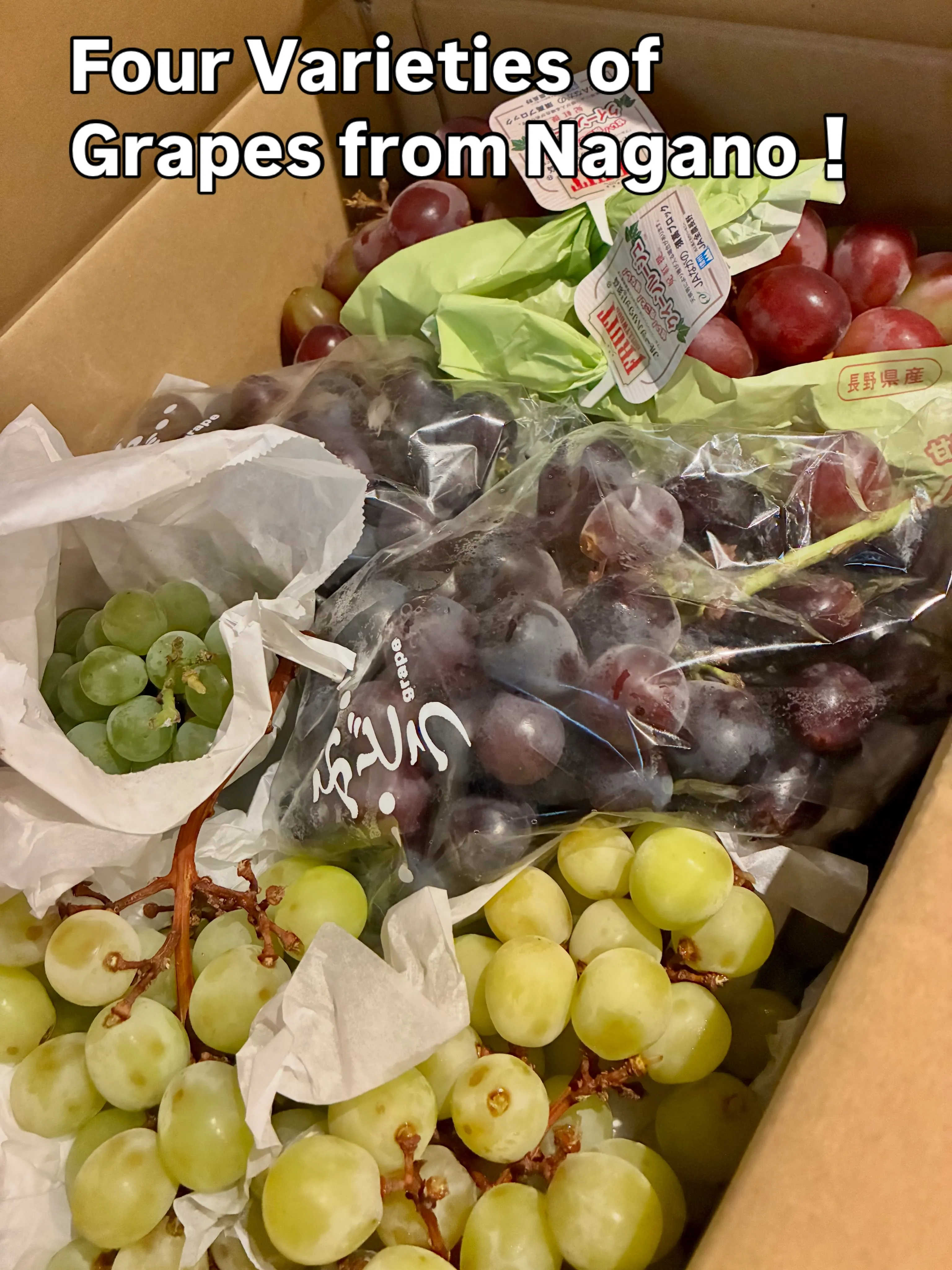 🍇長野産4種類のブドウ