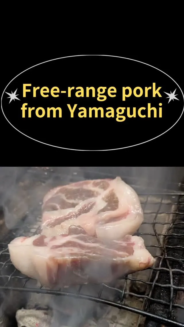 🥕山口産放牧豚🥕Free-range pork from Y...