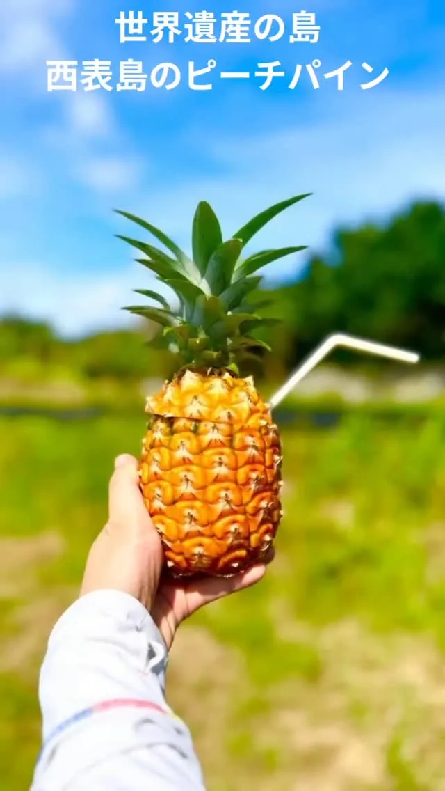 🍍極上パイナップル／Amazingly delicious ...