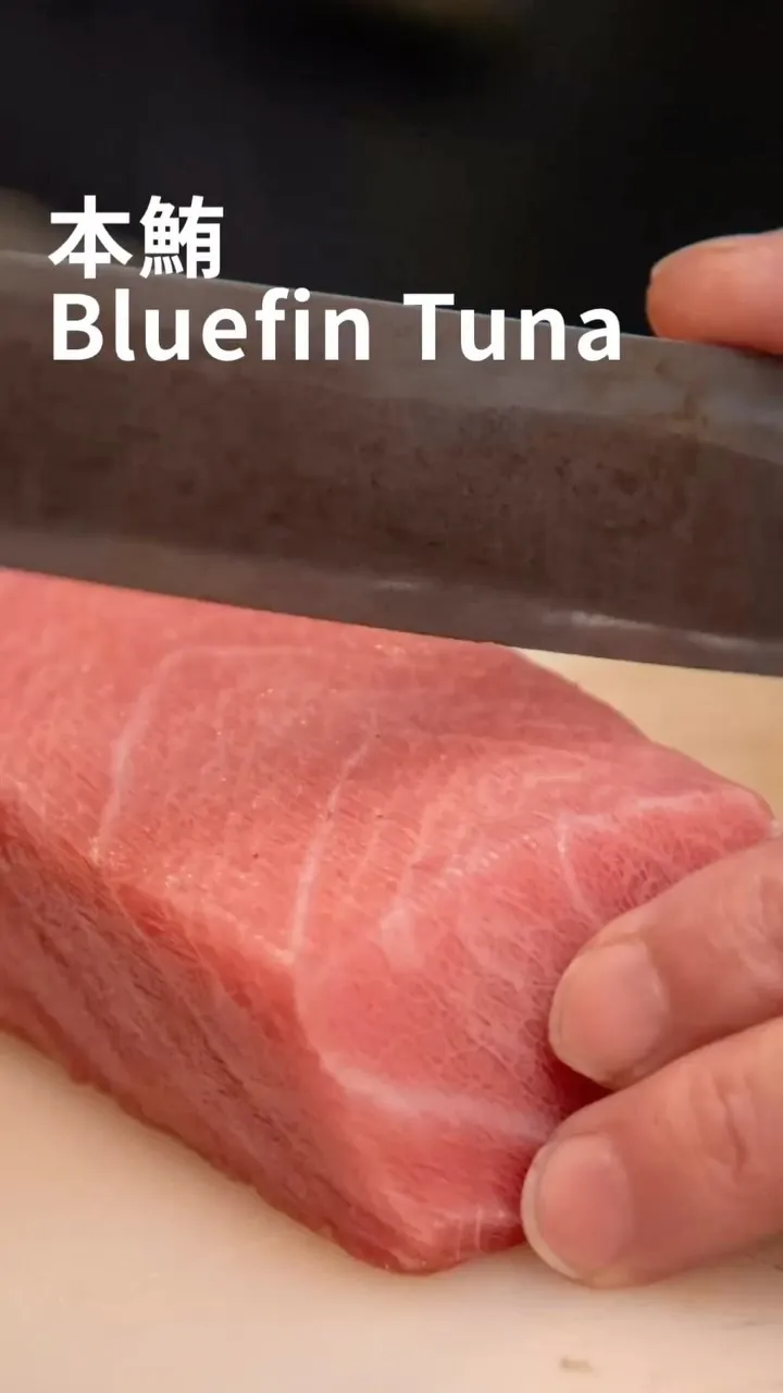 ✨本マグロ／bluefin tuna✨