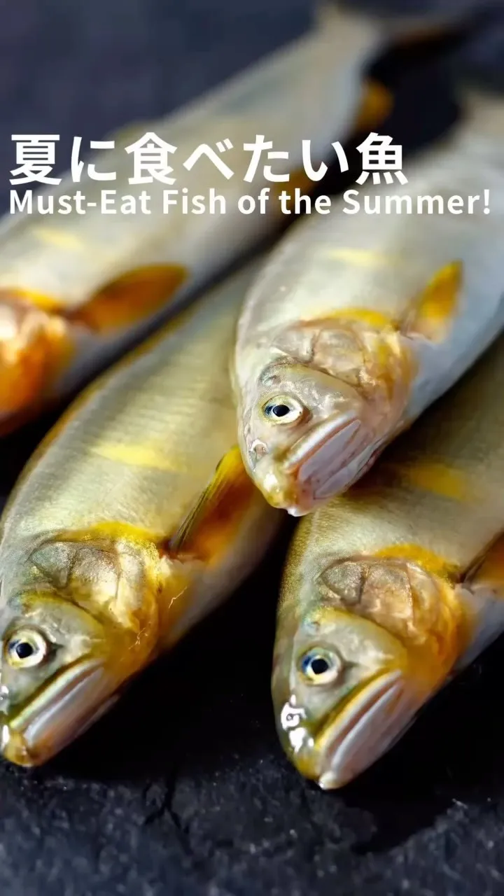 ✨夏の魚
