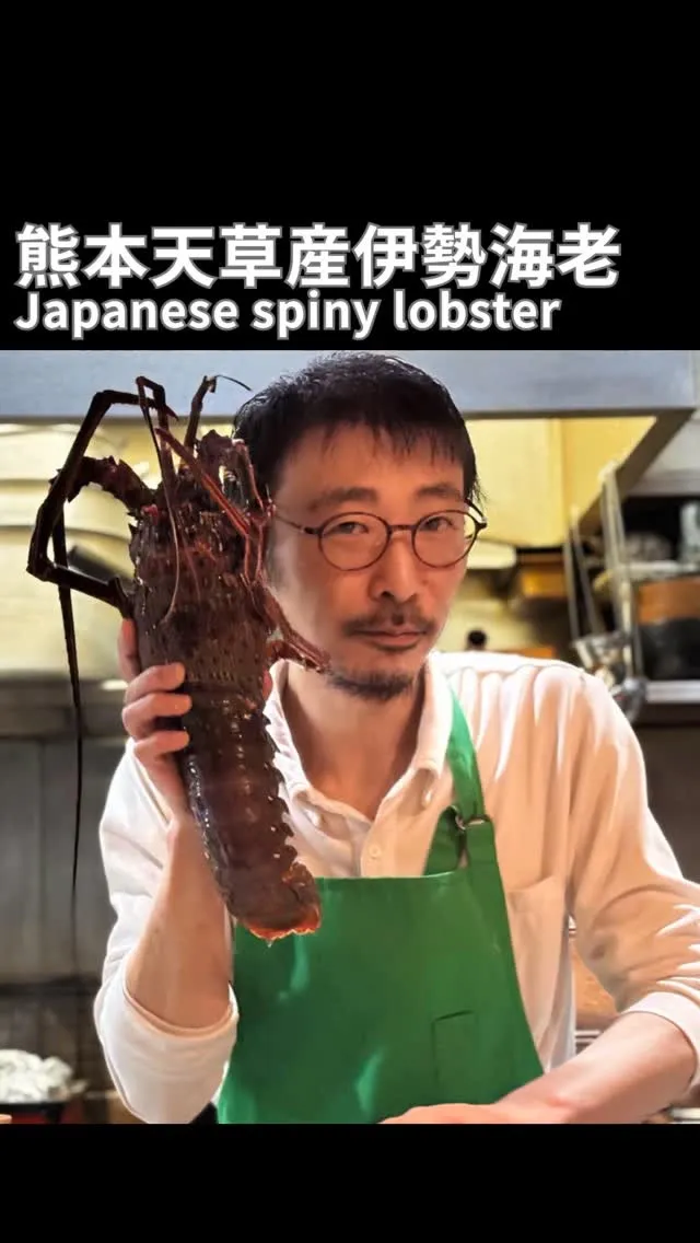 ☀️伊勢海老☀️Japanese spiny lobster