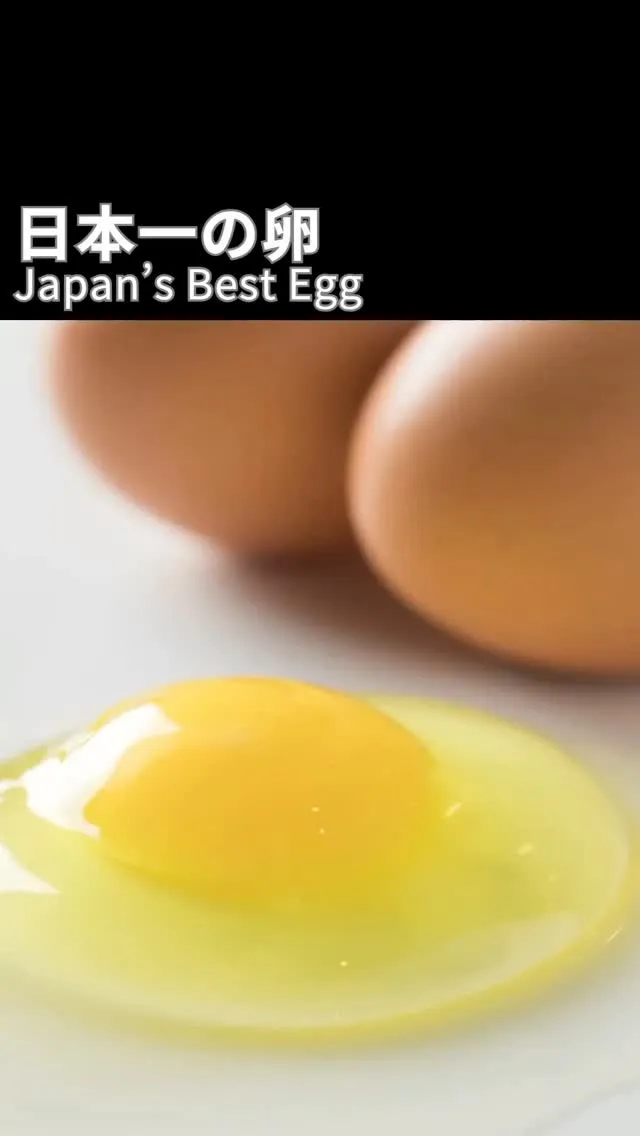 ✨日本一の卵／Japan's Best Egg