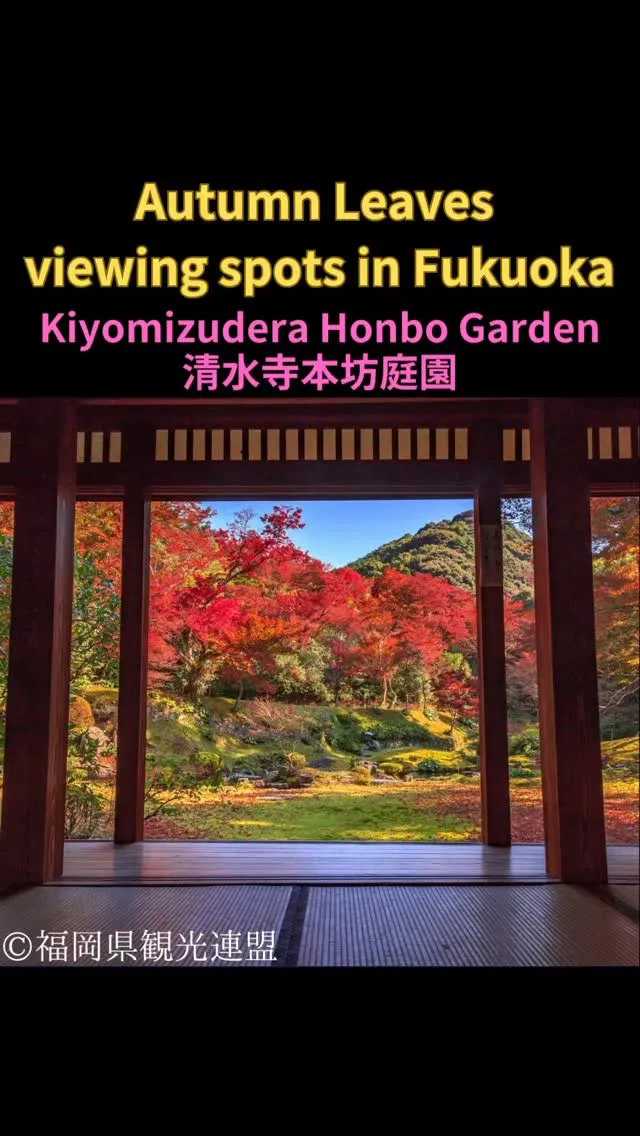 ✨清水寺本坊庭園
