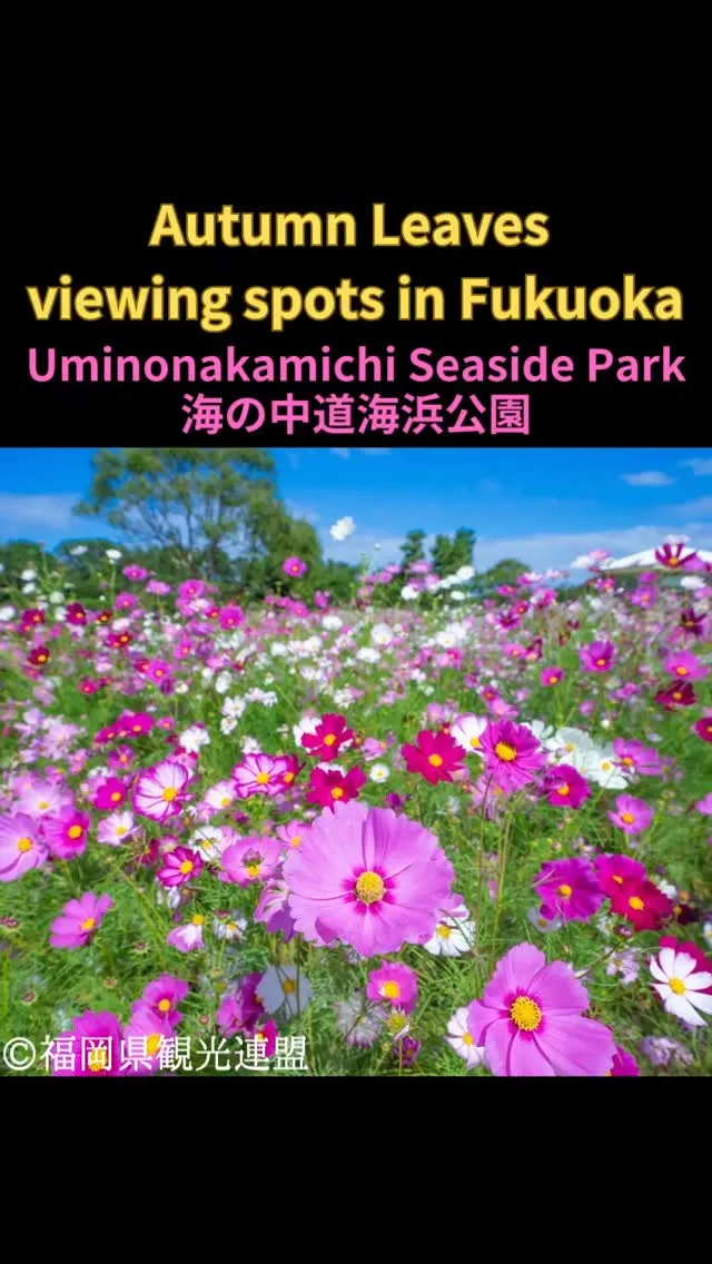 ✨海の中道海浜公園