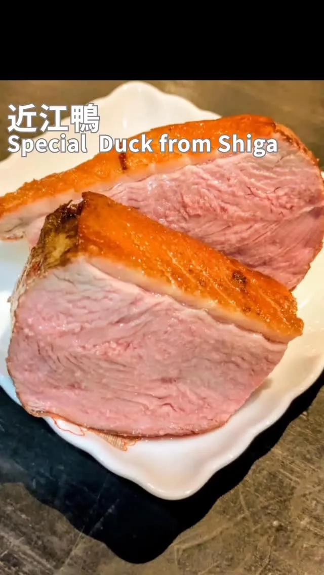 ✨近江鴨