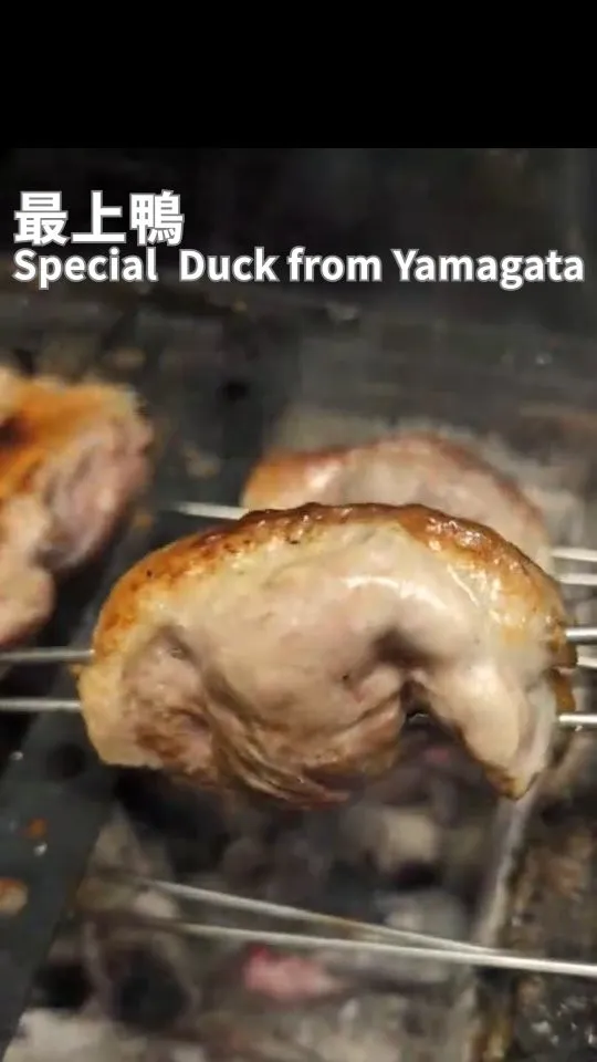 ✨最上鴨
