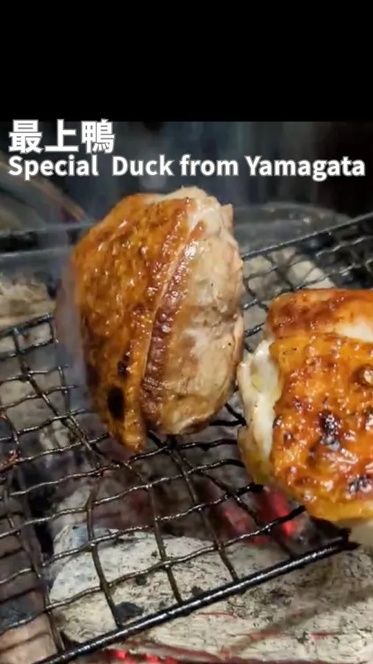 ✨最上鴨