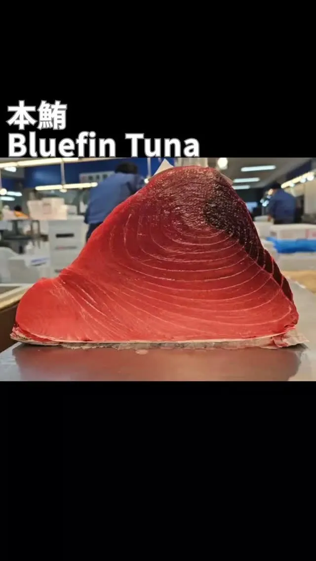 ✨本マグロ