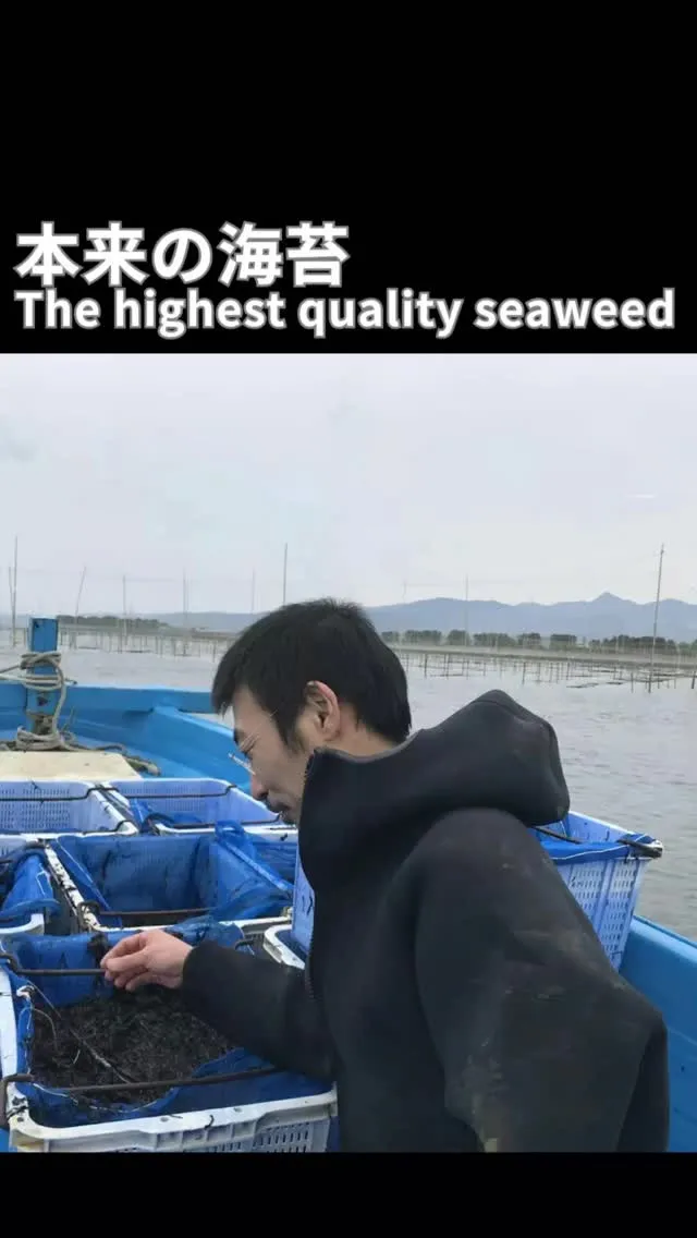 ✨海苔の収穫期です／The highest quality ...