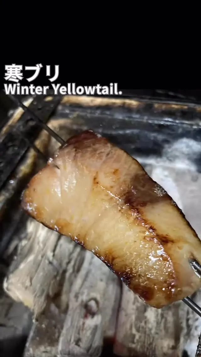 ✨寒ブリyellowtail✨