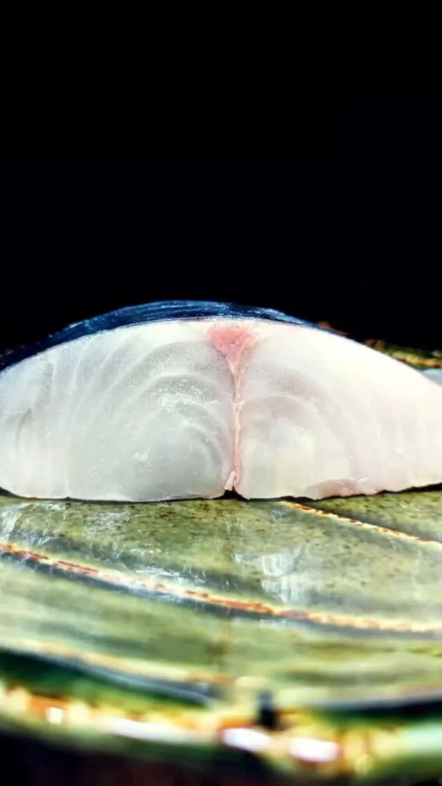 ✨さわら　Spanish mackerel✨