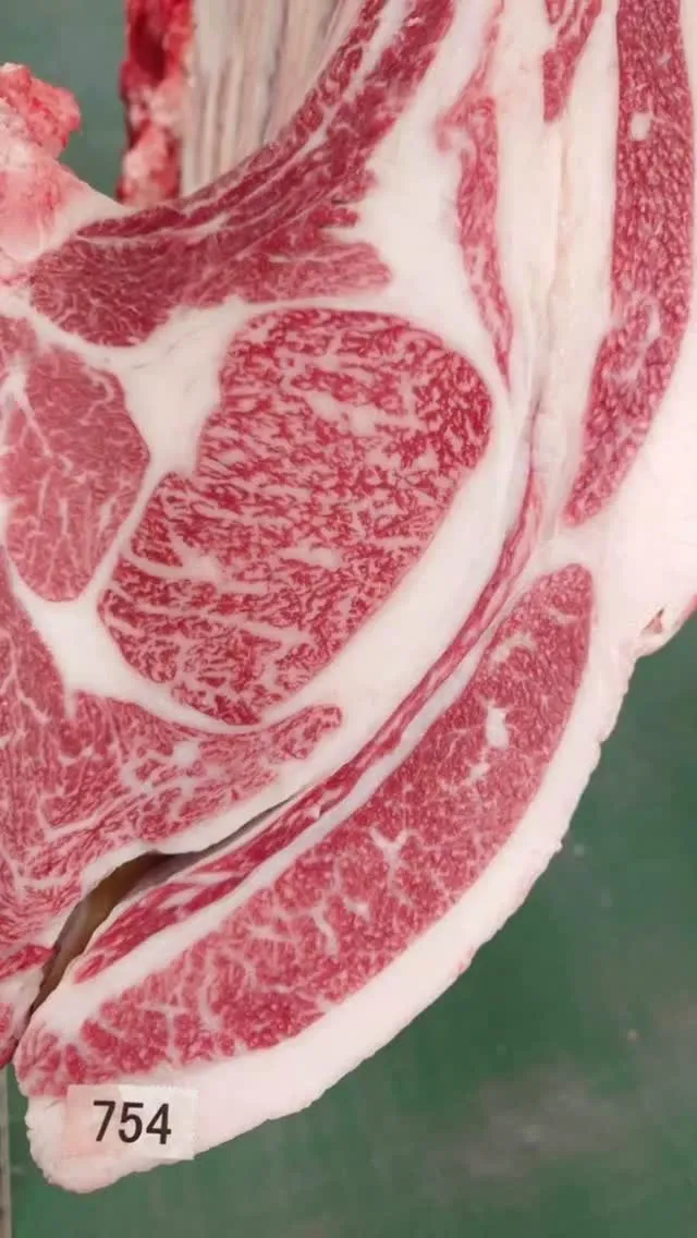 ✨極上な神戸ビーフ