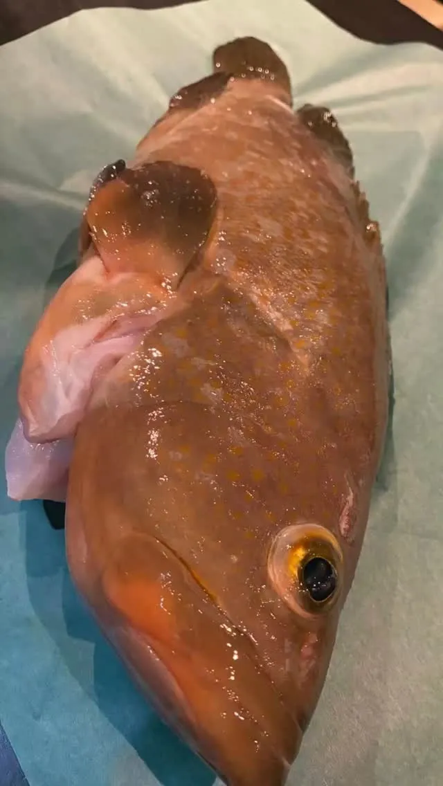 ✨特許技術『渦巻処理』